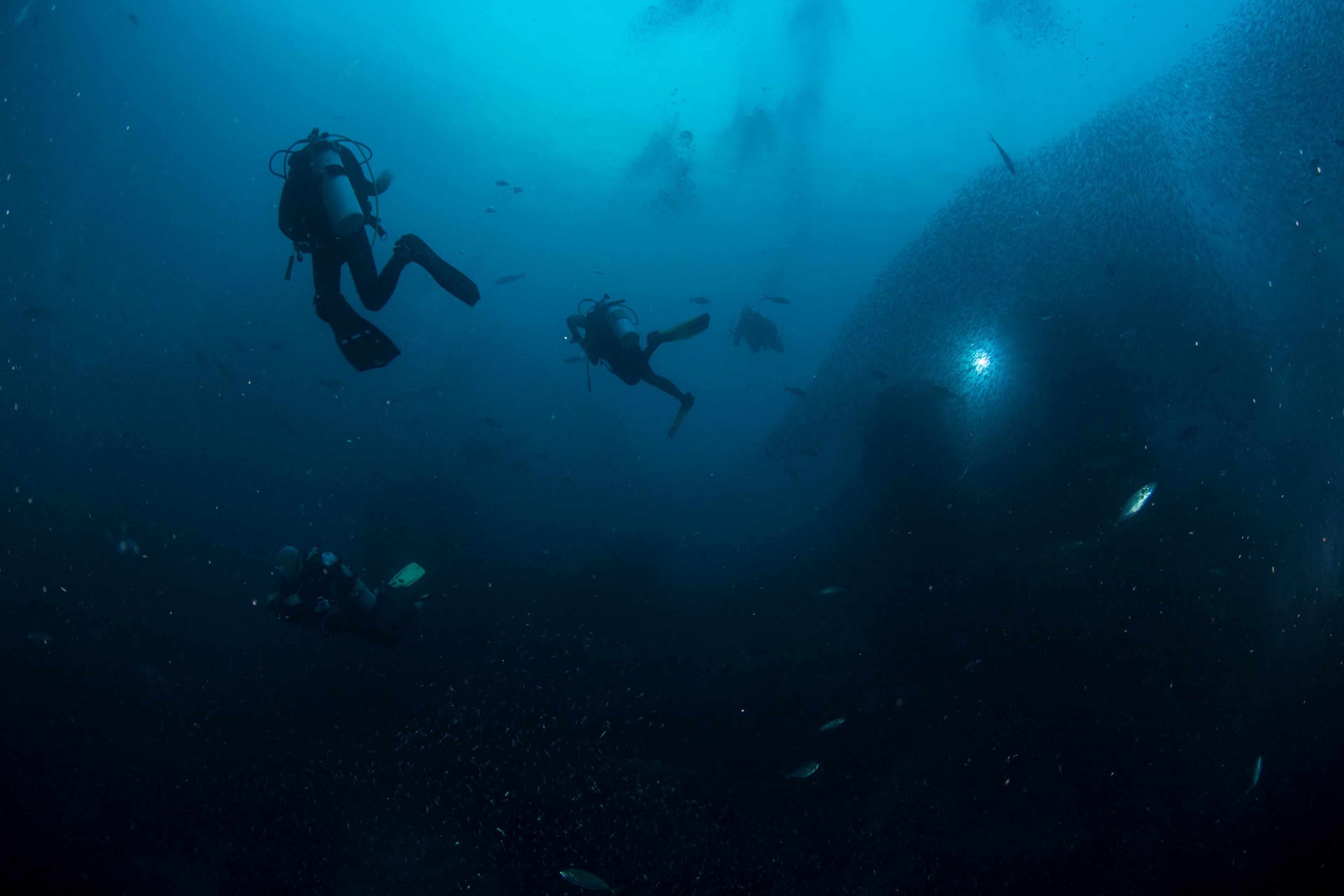 Diving in Thailand and Mozambique