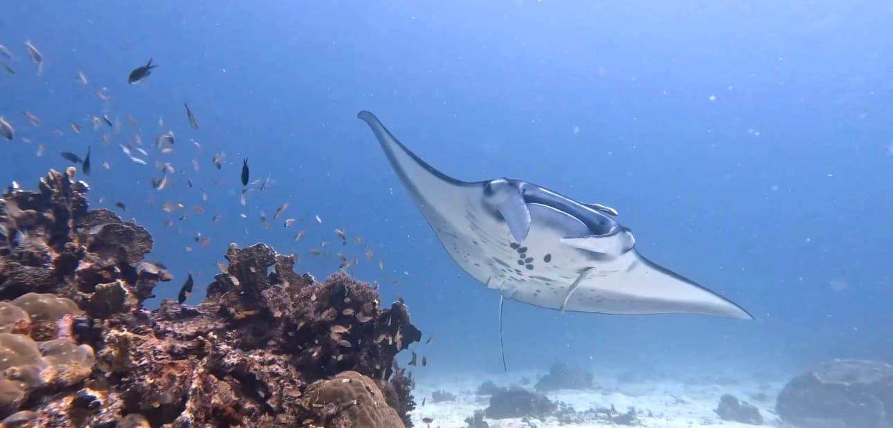 Exploring Raja Ampat