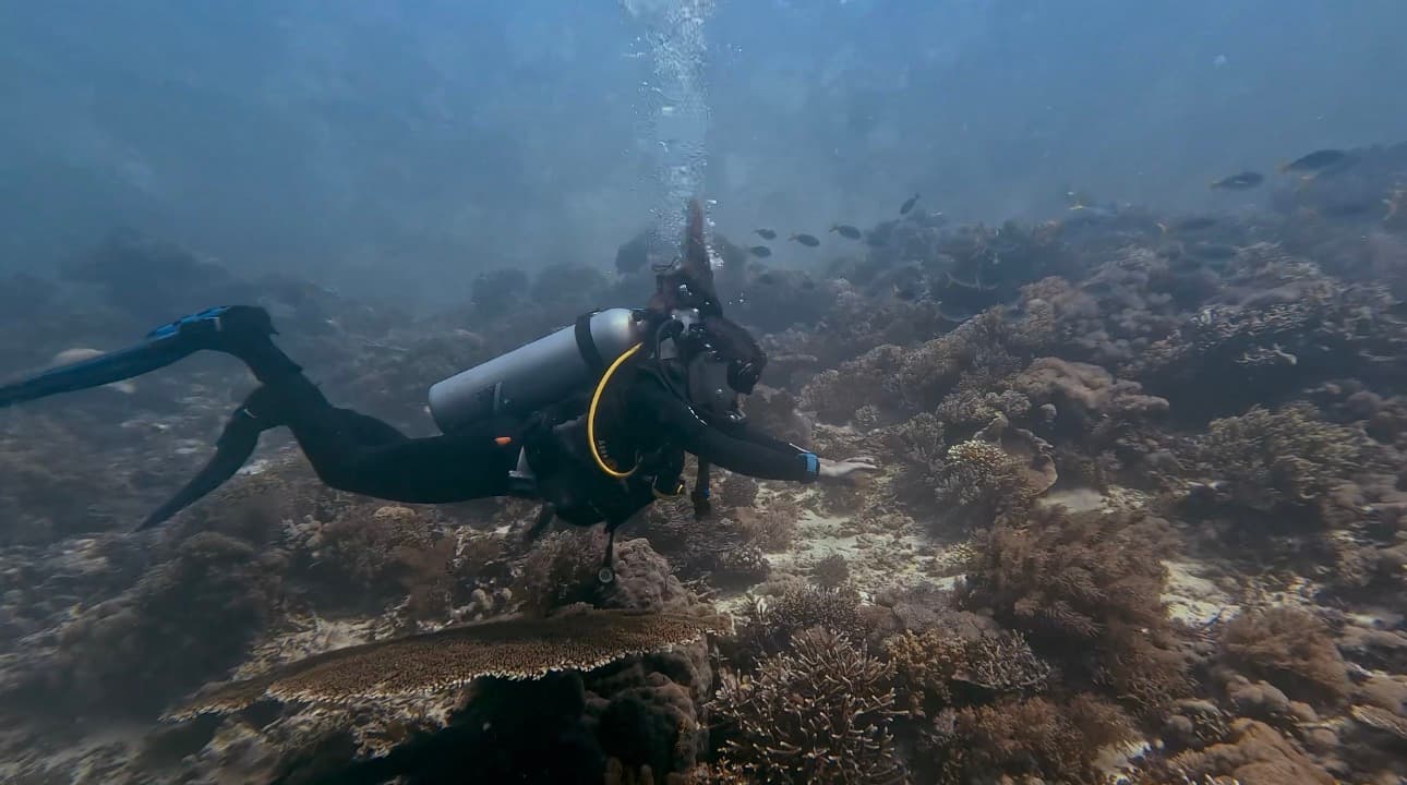 First diving experience in Australia
